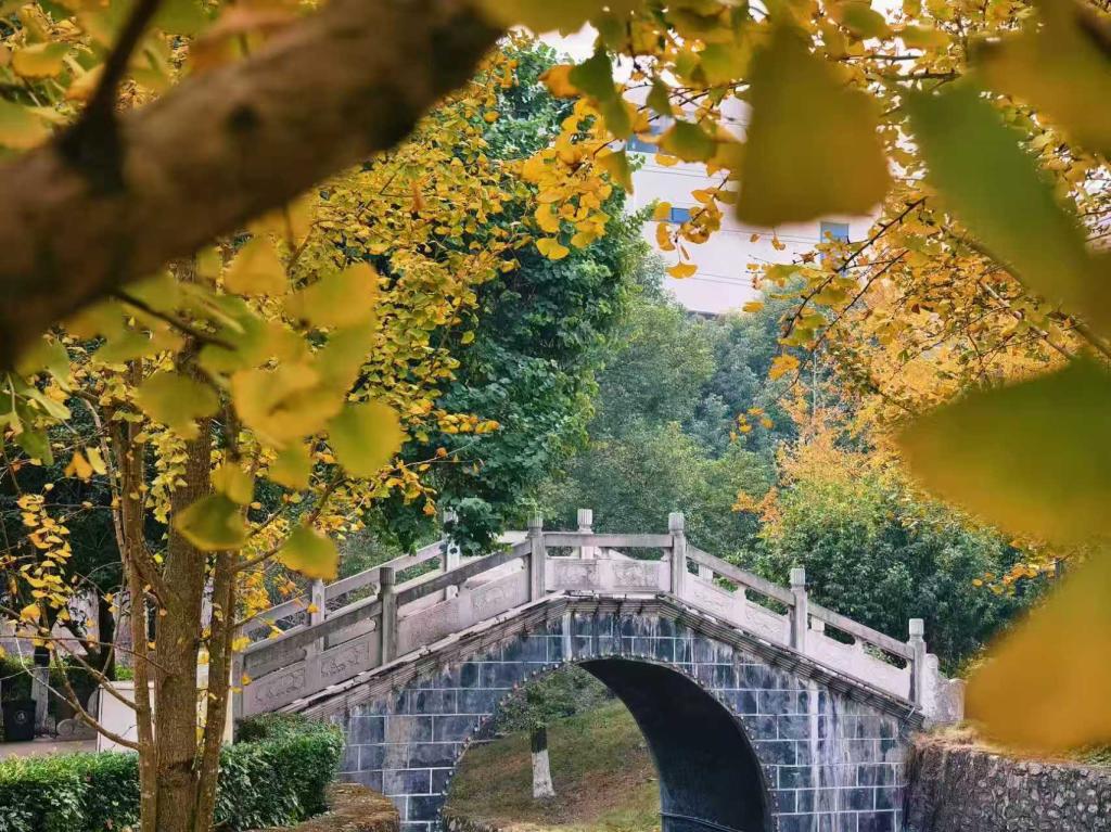必赢3003no1线路检测中心
