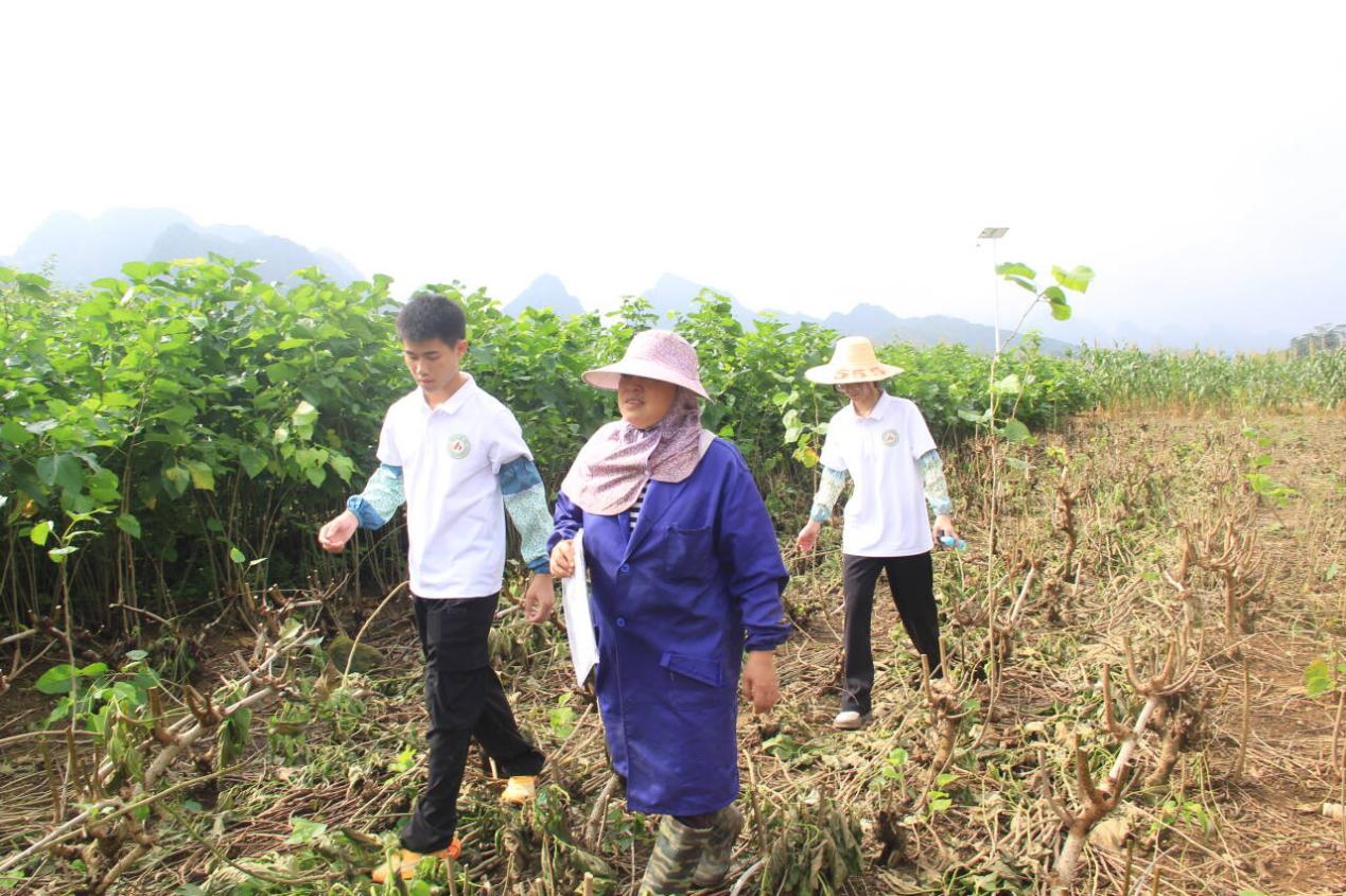 必赢3003no1线路检测中心