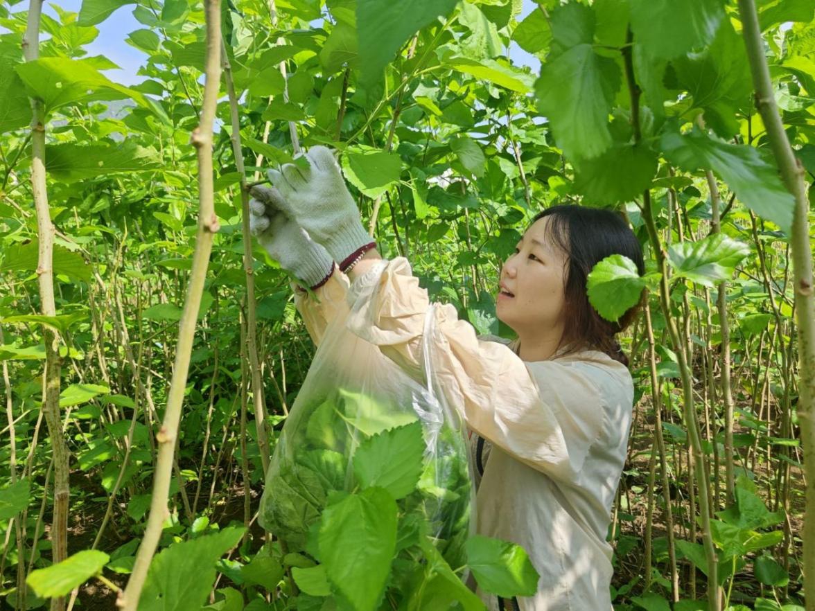 必赢3003no1线路检测中心