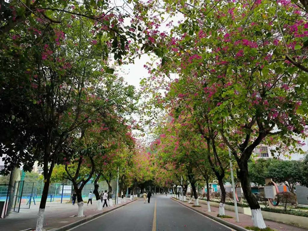 必赢3003no1线路检测中心
